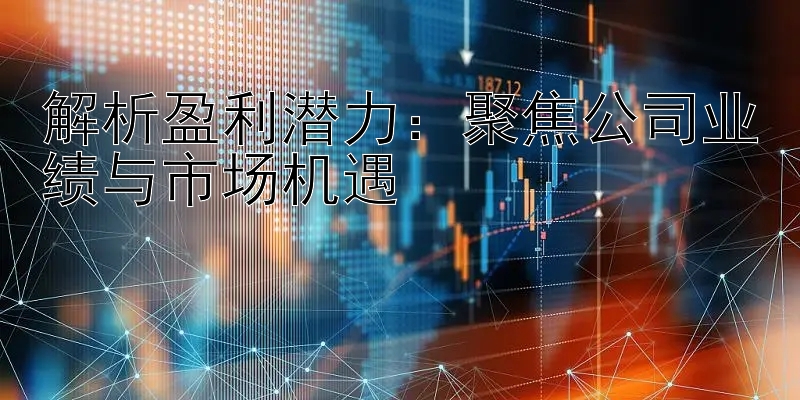 解析盈利潜力：聚焦公司业绩与市场机遇