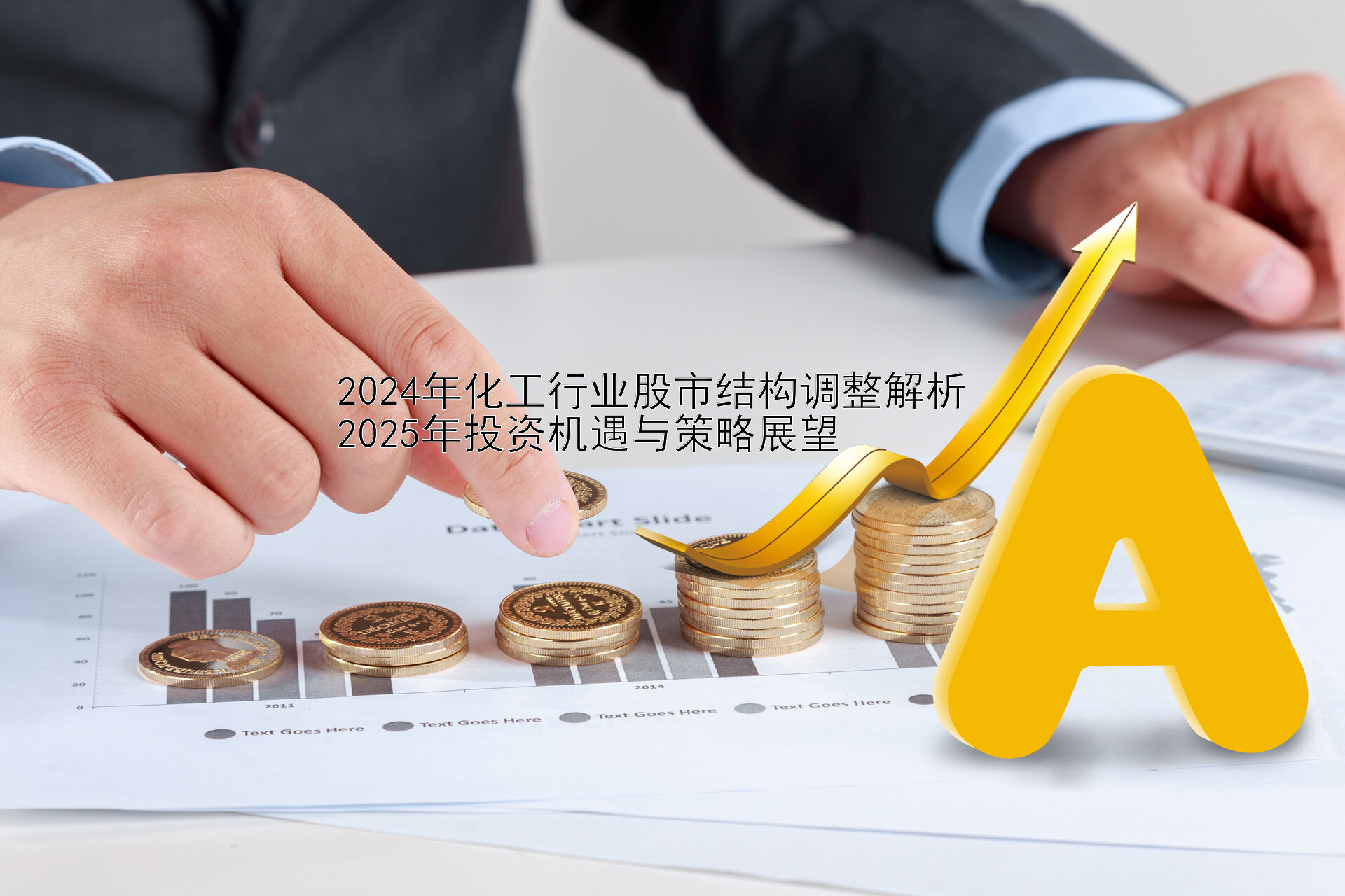 2024年化工行业股市结构调整解析  
2025年投资机遇与策略展望